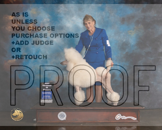Poodle Std #42 BVetSweeps Judge Larry Dewey-MMJ_0830-HOUSTON21-HR3
