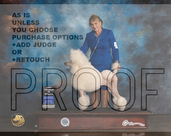 Poodle Std #42 BVetSweeps Judge Larry Dewey-MMJ_0832-HOUSTON21-HR3