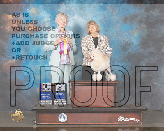 Poodle Toy #19 Wed BOVBOS Judge Sharon Newcomb-MMJ_0714-HOUSTON21-HR3