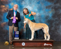 Saluki #19 Wed WD Judge William Flynn