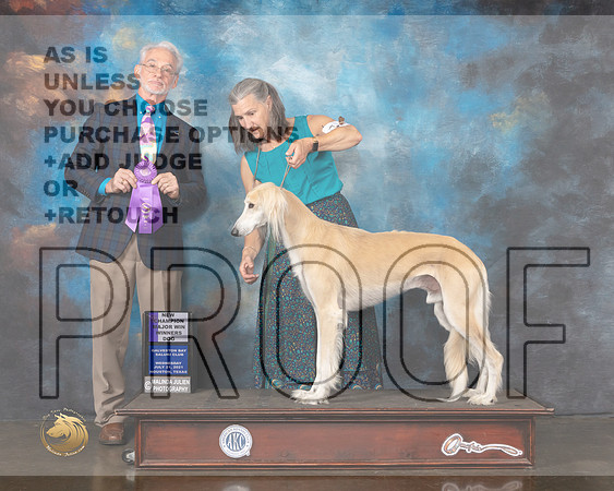 Saluki #19 Wed WD Judge William Flynn-MMJ_0657-HOUSTON21-HR3