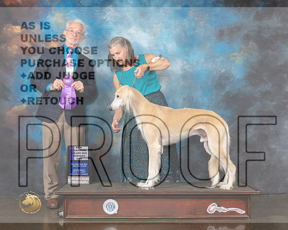 Saluki #19 Wed WD Judge William Flynn-MMJ_0656-HOUSTON21-HR3