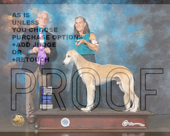 Saluki #19 Wed WD Judge William Flynn-MMJ_0658-HOUSTON21-HR3