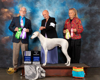 Saluki #21 Wed BiSweeps Judge William Flynn