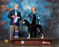 Saluki #22 Wed BOW Judge William Flynn