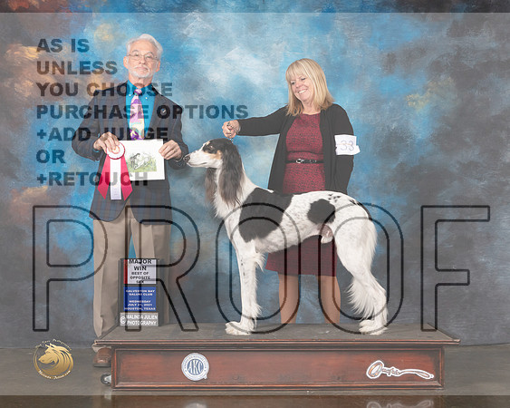 Saluki #33 Wed BOS Judge William Flynn-MMJ_0693-HOUSTON21-HR3