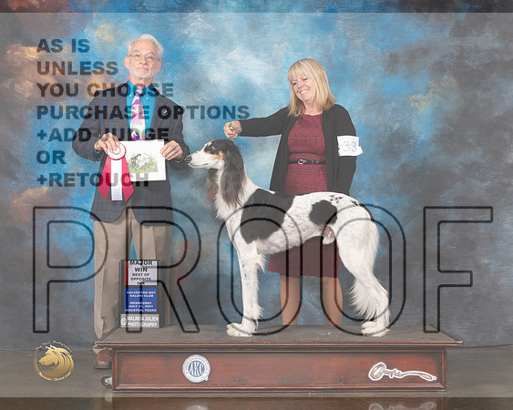 Saluki #33 Wed BOS Judge William Flynn-MMJ_0695-HOUSTON21-HR3