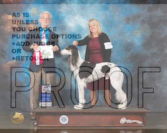 Saluki #33 Wed BOS Judge William Flynn-MMJ_0699-HOUSTON21-HR3