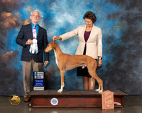 Saluki #5 Wed SD Judge William Flynn