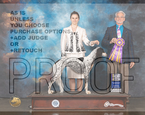 Saluki #8 Wed BISS Judge William Flynn-MMJ_0686-HOUSTON21-HR3