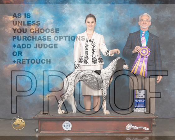 Saluki #8 Wed BISS Judge William Flynn-MMJ_0687-HOUSTON21-HR3
