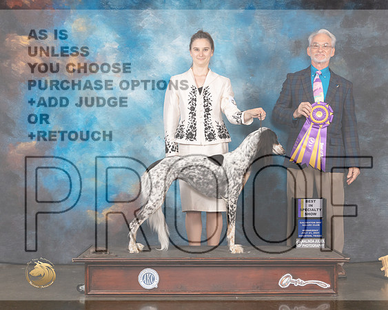 Saluki #8 Wed BISS Judge William Flynn-MMJ_0688-HOUSTON21-HR3