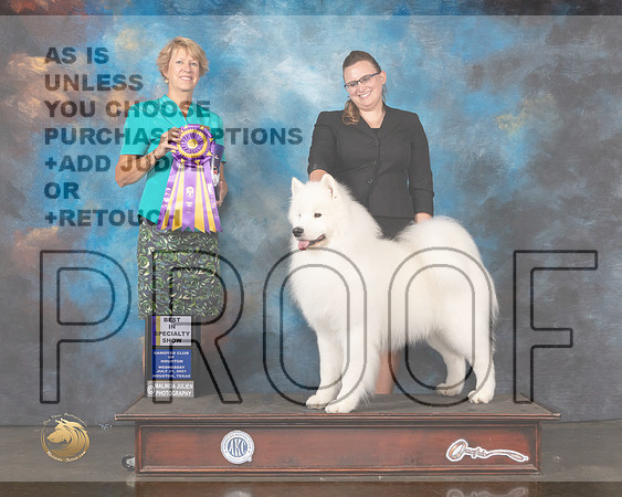 Samoyed #9 Wed BISS Judge Marta Lageschulte-MMJ_0748-HOUSTON21-HR3