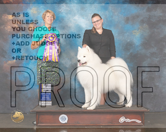 Samoyed #9 Wed BISS Judge Marta Lageschulte-MMJ_0750-HOUSTON21-HR3