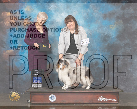 Shetland Sheepdog #30 Wed BISweeps Judge Marion Johnson Your-MMJ_0781-HOUSTON21-HR3