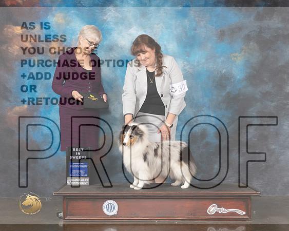 Shetland Sheepdog #30 Wed BISweeps Judge Marion Johnson Your-MMJ_0782-HOUSTON21-HR3