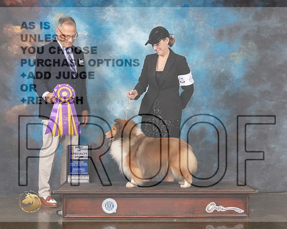Shetland Sheepdog #6 Wd BISS Judge David Haddock-MMJ_0797-HOUSTON21-HR3