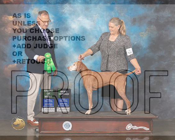 Vizsla #12 Wed AOM BVet Judge David Haddock-MMJ_0554-HOUSTON21-HR3
