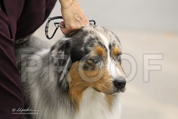 Aussie-8388LR