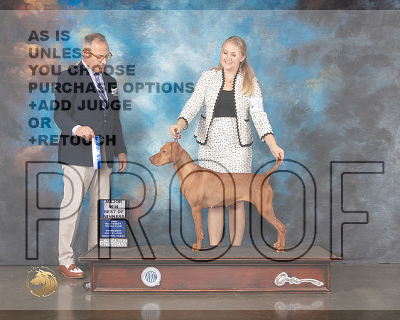 Vizsla #18 Wed BOW Judge David Haddock-MMJ_0521-HOUSTON21-HR3