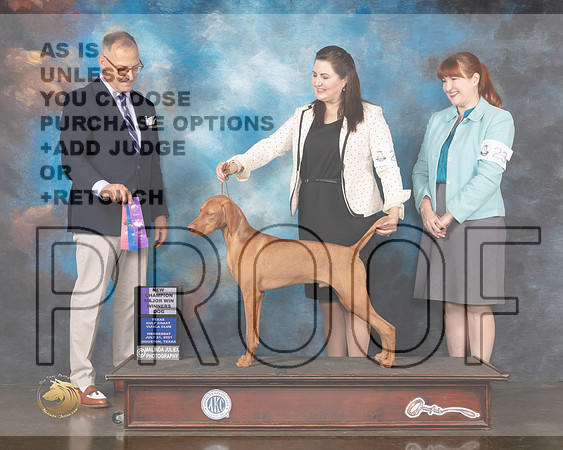 Vizsla #24 Wed WD Judge David Haddock-MMJ_0567-HOUSTON21-HR3