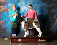 Akita #10 Wed BISweeps Judge Martha Lageschulte