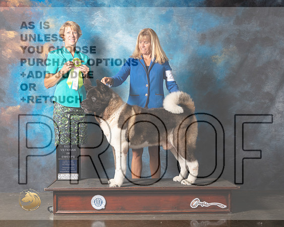 Akita #11 Wed BVetSweeps Judge Martha Lageschulte-MMJ_0816-HOUSTON21-HR3