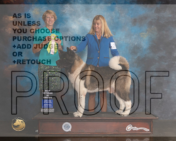Akita #11 Wed BVetSweeps Judge Martha Lageschulte-MMJ_0817-HOUSTON21-HR3