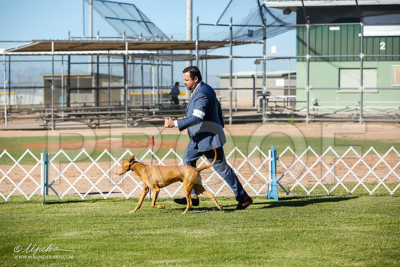 _JN_5706-AlamogordoOct2014-HR3