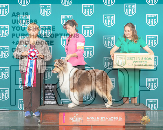 Australian Shepherd #617 Sat VBIS Judge Mary Ellen Meyer-_JP_5471_UKC VA 2023-HR3