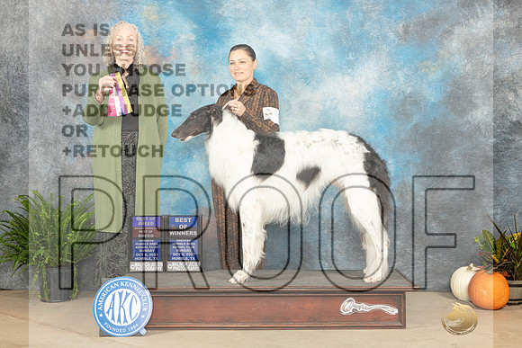 Borzoi #5 Sun BOBBOWOHBOB Judge Kim Meredith-_JP_6945e_Humble2023-HR3