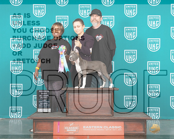 American Pit Bull Terrier #601 Sat PRBIS Judge Mary Ellen Meyer-_JP_5467_UKC VA 2023-HR3