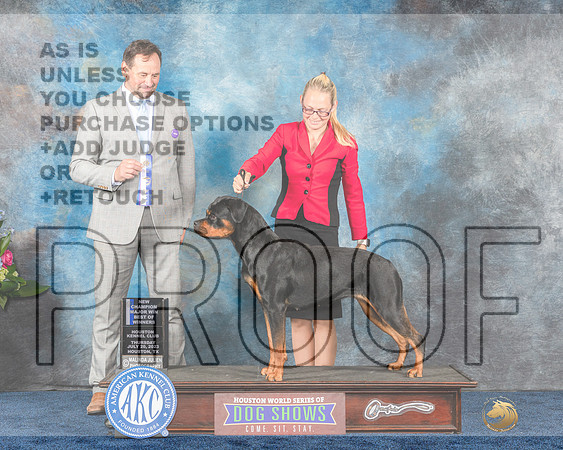 Rottweiler #16 Thurs WB BOW MAJ Judge Joe Deleo-MJP_2600e_Houston2023-HR3