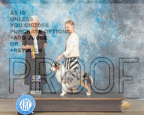 Miniature American Shepherd #15 Sat BOB MAJ Judge Eva Berg-_CL_6374e_Belton2023-HR3