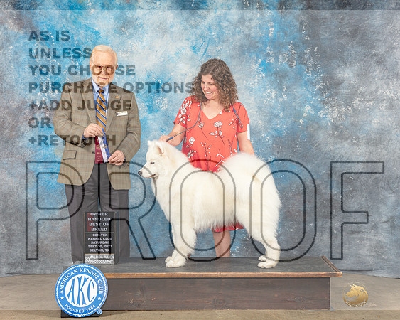 Samoyed #9 Sat WD BOW OHBOB Judge Gerard Penta-_CL_6435e_Belton2023-HR3