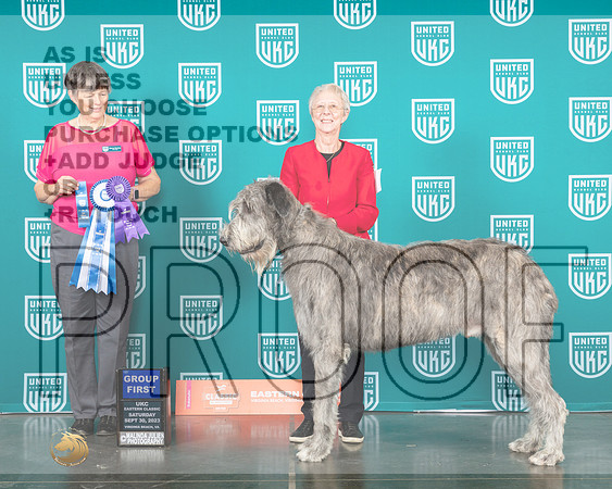 Irish Wolfhound #286 Sat G1 Judge Sheree Sanchez-_JP_5359_UKC VA 2023-HR3
