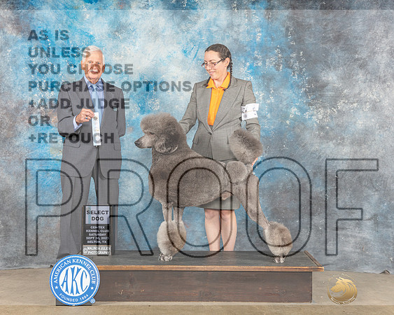 Standard Poodle #5 Sat SD Judge Malcom Moore-_CL_6640e_Belton2023-HR3