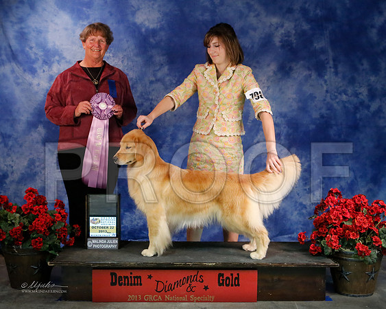 GunDog-9011-WFOct2013-HR