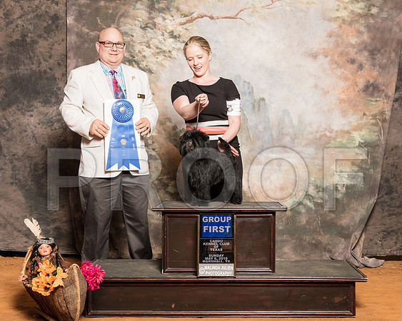 Affenpinscher #5 Sun G1 Girouard Doyle Judge Bradley JenkinsSSR_1627-Mj-HR3
