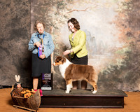 Australian Shepherd #22 Sun WB Maj Gilliam Susie Judge Patricia Taylor