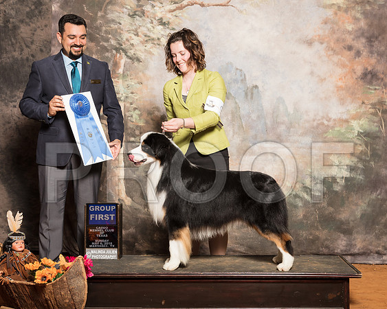 Australian Shepherd #9 Sun G1 Pryor Maggie Judge Joao MachadoSSR_1607-Mj-HR3