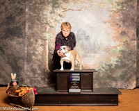 Bulldog #14 Sat WB Sara Black Lesa Strickland Judge Dr Donald Gill
