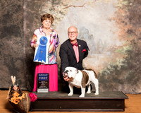 Bulldog #15 Sun G1 Jamie Vasquez Judge Carol Jean Nelson