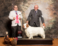 Clumber Spaniel #5 Sun G2 Holman Peggy Milford Cole Raina Moss Judge Bradley Jenkins
