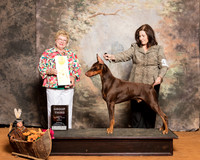 Doberman Pinscher #15  Sun G3 Nikki McClendon Judge Judith Brown