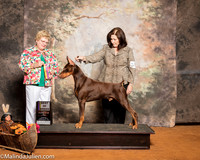 Doberman Pinscher #15 Sun BOB McClendon Nikki Judge Judith Brown