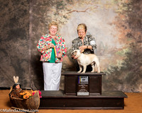 French Bulldog #15 Sun BOB Klein Mary Rick Ly Judge Judith Brown