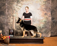German Shepherd #10 SAT BOB NCh Schumacher Jon Anita Judge Linda Clark