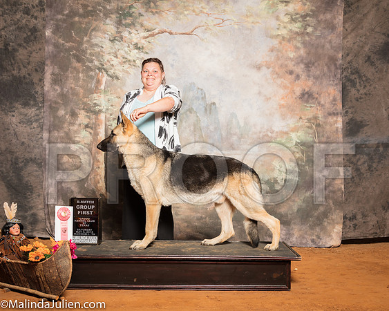 German Shepherd Dog #7 Sat BMatchG1 McRae JessicaSSR_1414-Mj-HR3