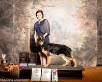 German Shepherd Dog #8 Sat 4-6G4 Fenstermaker Jennifer